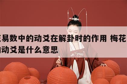 梅花易数中的动爻在解卦时的作用 梅花易数里的动爻是什么意思