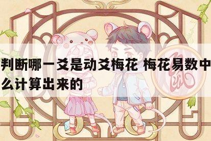 如何判断哪一爻是动爻梅花 梅花易数中动爻是怎么计算出来的