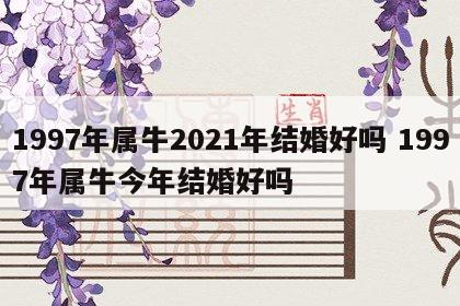 1997年属牛2021年结婚好吗 1997年属牛今年结婚好吗