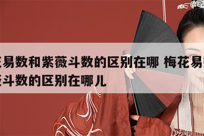 梅花易数和紫薇斗数的区别在哪 梅花易数和紫薇斗数的区别在哪儿