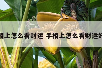 手相上怎么看财运 手相上怎么看财运好坏
