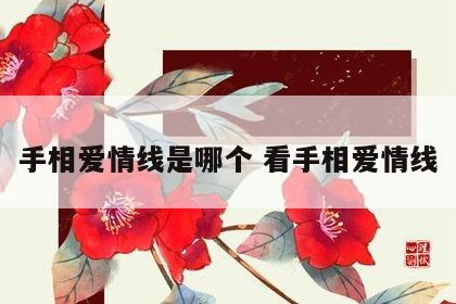 手相爱情线是哪个 看手相爱情线