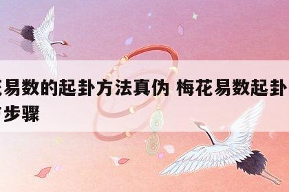 梅花易数的起卦方法真伪 梅花易数起卦的方法与步骤