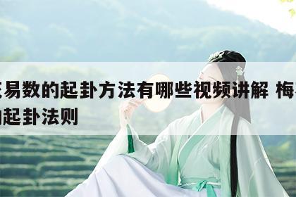 梅花易数的起卦方法有哪些视频讲解 梅花易数的起卦法则