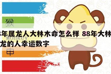 88年属龙人大林木命怎么样 88年大林木属龙的人幸运数字