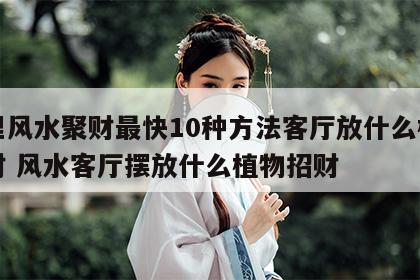 家里风水聚财最快10种方法客厅放什么植物旺财 风水客厅摆放什么植物招财