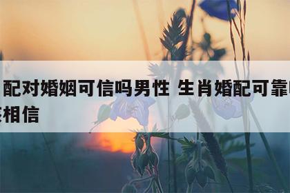 生肖配对婚姻可信吗男性 生肖婚配可靠吗该不该相信