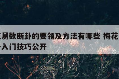 梅花易数断卦的要领及方法有哪些 梅花易数断卦入门技巧公开