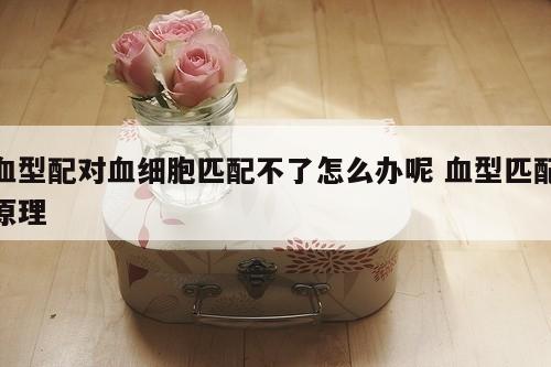 血型配对血细胞匹配不了怎么办呢 血型匹配原理