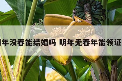 明年没春能结婚吗 明年无春年能领证吗