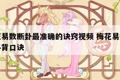 梅花易数断卦最准确的诀窍视频 梅花易数断卦必背口诀