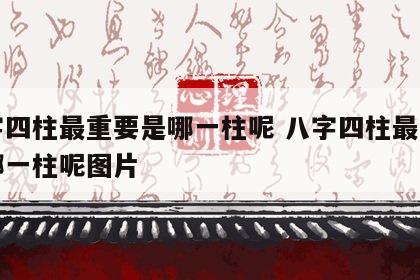 八字四柱最重要是哪一柱呢 八字四柱最重要是哪一柱呢图片