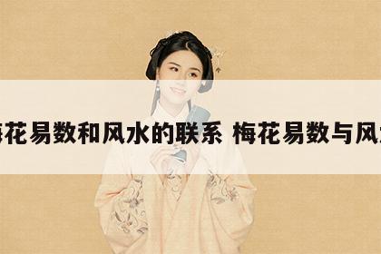 梅花易数和风水的联系 梅花易数与风水