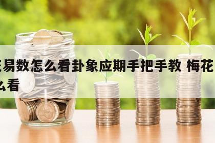 梅花易数怎么看卦象应期手把手教 梅花易数 怎么看