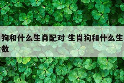 生肖狗和什么生肖配对 生肖狗和什么生肖配对指数