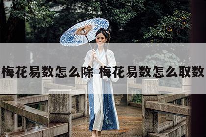 梅花易数怎么除 梅花易数怎么取数