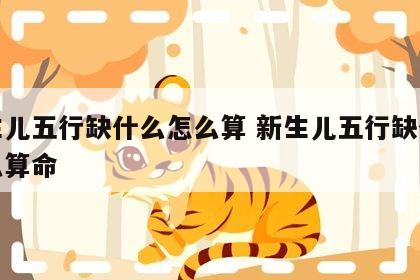新生儿五行缺什么怎么算 新生儿五行缺什么怎么算命