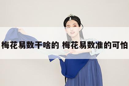梅花易数干啥的 梅花易数准的可怕