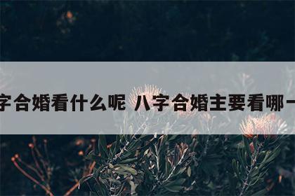 八字合婚看什么呢 八字合婚主要看哪一柱