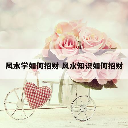 风水学如何招财 风水知识如何招财