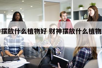 财神摆放什么植物好 财神摆放什么植物好风水