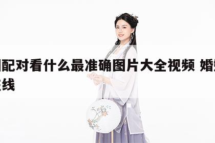 婚姻配对看什么最准确图片大全视频 婚姻配对在线