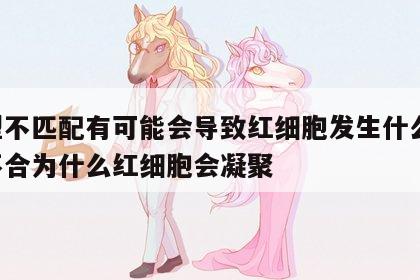 血型不匹配有可能会导致红细胞发生什么 血型不合为什么红细胞会凝聚