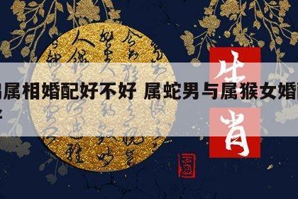 蛇鸡属相婚配好不好 属蛇男与属猴女婚配好不好