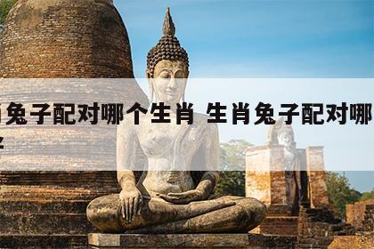 生肖兔子配对哪个生肖 生肖兔子配对哪个生肖好