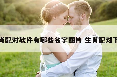 生肖配对软件有哪些名字图片 生肖配对下载