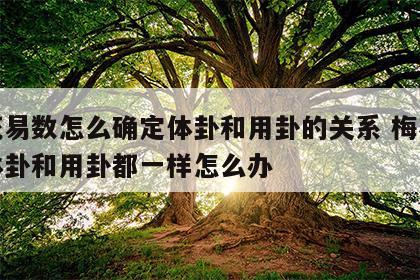 梅花易数怎么确定体卦和用卦的关系 梅花易数体卦和用卦都一样怎么办