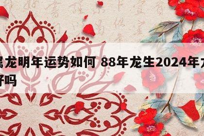 属龙明年运势如何 88年龙生2024年龙好吗