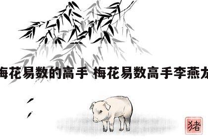 梅花易数的高手 梅花易数高手李燕龙