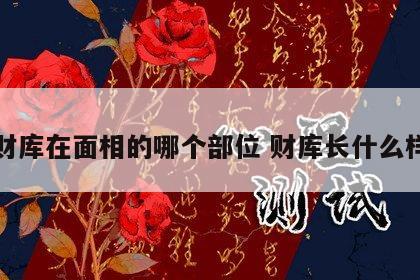 财库在面相的哪个部位 财库长什么样
