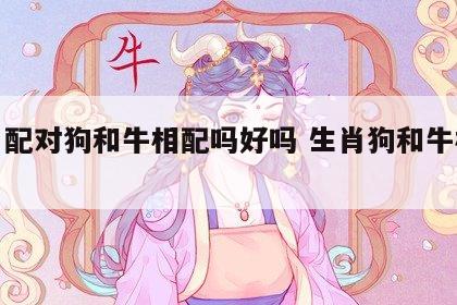 生肖配对狗和牛相配吗好吗 生肖狗和牛相克吗