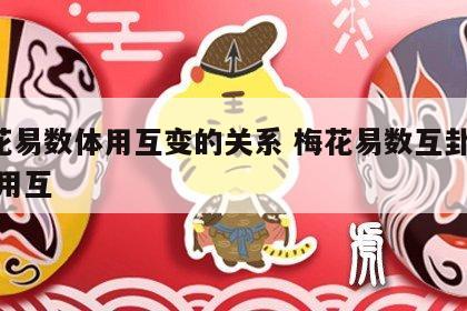 梅花易数体用互变的关系 梅花易数互卦 体互 用互