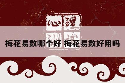 梅花易数哪个好 梅花易数好用吗
