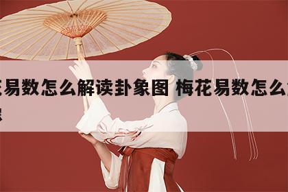 梅花易数怎么解读卦象图 梅花易数怎么解读卦像