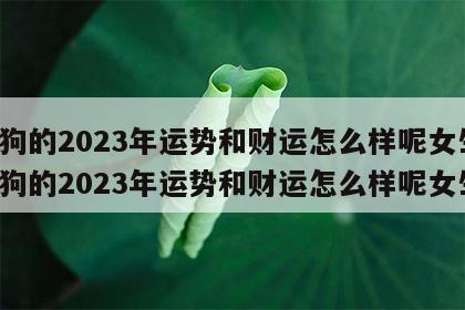 属狗的2023年运势和财运怎么样呢女生 属狗的2023年运势和财运怎么样呢女生