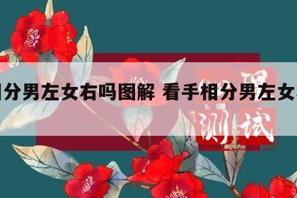 手相分男左女右吗图解 看手相分男左女右吗?