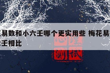 梅花易数和小六壬哪个更实用些 梅花易数和大六壬相比
