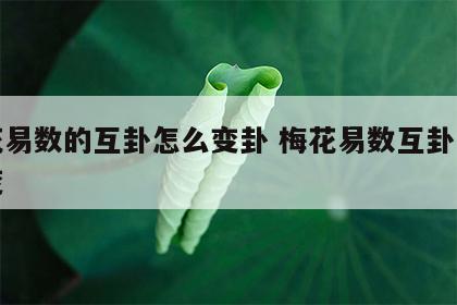 梅花易数的互卦怎么变卦 梅花易数互卦怎么演变