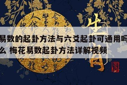 梅花易数的起卦方法与六爻起卦可通用吗对吗为什么 梅花易数起卦方法详解视频