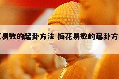 梅花易数的起卦方法 梅花易数的起卦方法视频