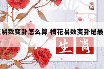 梅花易数变卦怎么算 梅花易数变卦是最终结果吗