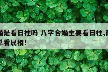 合婚是看日柱吗 八字合婚主要看日柱,而不是单看属相!