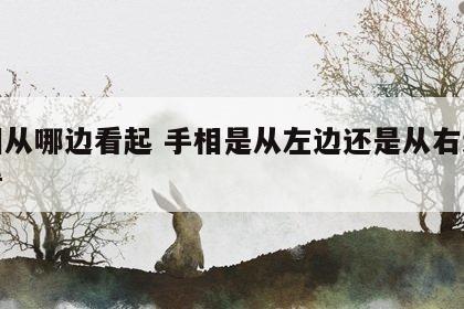 手相从哪边看起 手相是从左边还是从右边开始看