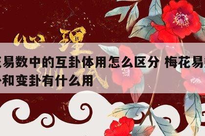 梅花易数中的互卦体用怎么区分 梅花易数的互卦和变卦有什么用