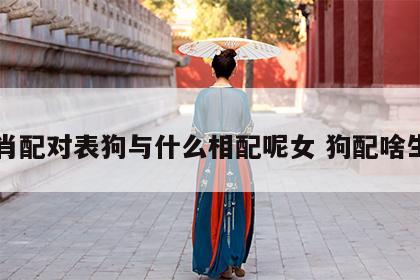 生肖配对表狗与什么相配呢女 狗配啥生肖