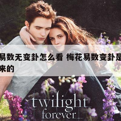 梅花易数无变卦怎么看 梅花易数变卦是怎样变出来的